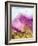 Purple Mountains and Eagle-Hallie Clausen-Framed Art Print