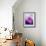 Purple Mountains Watercolor-Hallie Clausen-Framed Art Print displayed on a wall
