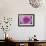 Purple Mum II-Erin Berzel-Framed Photographic Print displayed on a wall