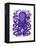 Purple Octopus-Fab Funky-Framed Stretched Canvas