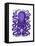 Purple Octopus-Fab Funky-Framed Stretched Canvas