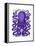 Purple Octopus-Fab Funky-Framed Stretched Canvas