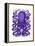 Purple Octopus-Fab Funky-Framed Stretched Canvas