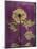 Purple Opus Chrysanthemum-Albert Koetsier-Mounted Premium Giclee Print