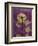 Purple Opus Chrysanthemum-Albert Koetsier-Framed Art Print