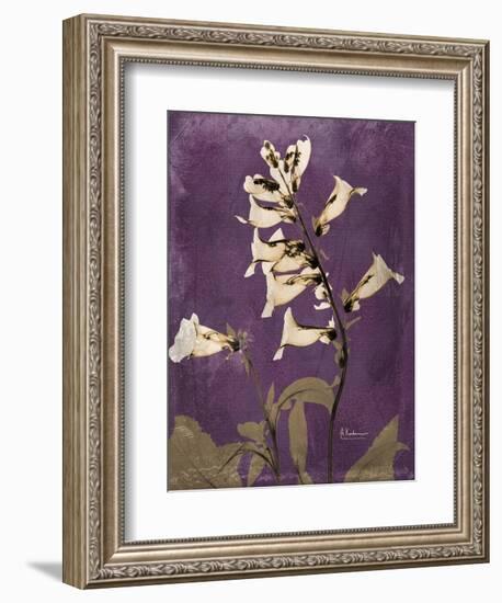 Purple Opus Foxglove-Albert Koetsier-Framed Art Print