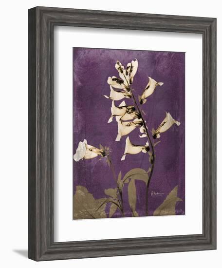 Purple Opus Foxglove-Albert Koetsier-Framed Art Print