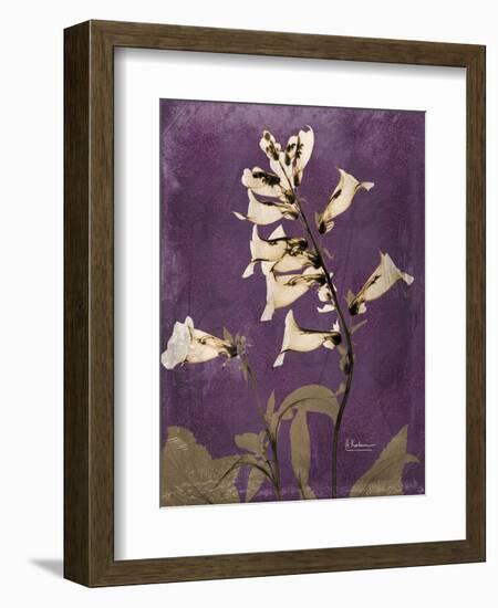 Purple Opus Foxglove-Albert Koetsier-Framed Art Print