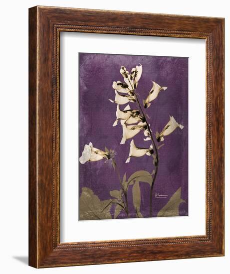 Purple Opus Foxglove-Albert Koetsier-Framed Art Print