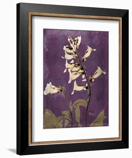 Purple Opus Foxglove-Albert Koetsier-Framed Art Print