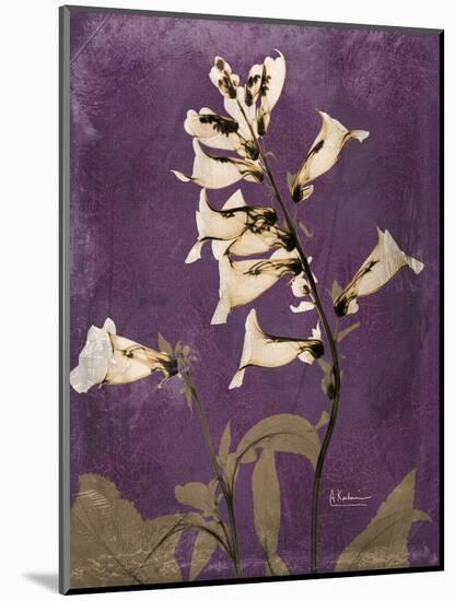 Purple Opus Foxglove-Albert Koetsier-Mounted Art Print