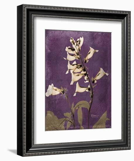 Purple Opus Foxglove-Albert Koetsier-Framed Art Print