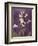 Purple Opus Foxglove-Albert Koetsier-Framed Art Print