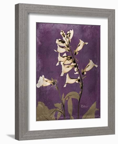 Purple Opus Foxglove-Albert Koetsier-Framed Premium Giclee Print