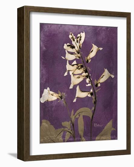 Purple Opus Foxglove-Albert Koetsier-Framed Premium Giclee Print