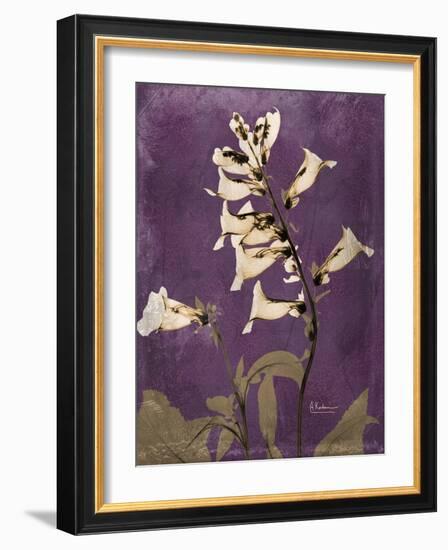 Purple Opus Foxglove-Albert Koetsier-Framed Premium Giclee Print