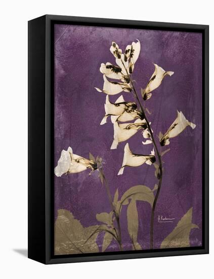 Purple Opus Foxglove-Albert Koetsier-Framed Stretched Canvas