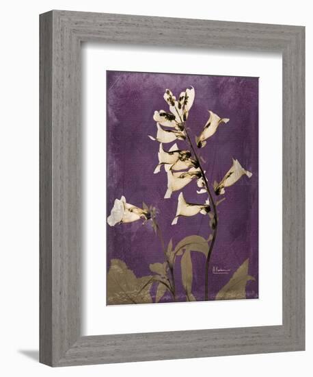 Purple Opus Foxglove-Albert Koetsier-Framed Premium Giclee Print