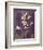 Purple Opus Foxglove-Albert Koetsier-Framed Premium Giclee Print