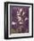 Purple Opus Foxglove-Albert Koetsier-Framed Premium Giclee Print