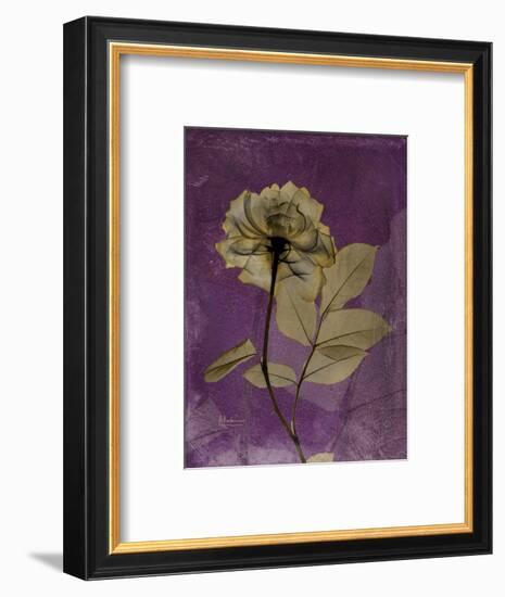 Purple Opus Rose-Albert Koetsier-Framed Art Print