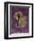 Purple Opus Rose-Albert Koetsier-Framed Art Print