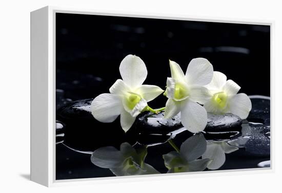 Purple Orchid and Black Stones with Reflection-crystalfoto-Framed Premier Image Canvas