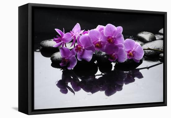 Purple Orchid and Black Stones with Reflection-crystalfoto-Framed Premier Image Canvas