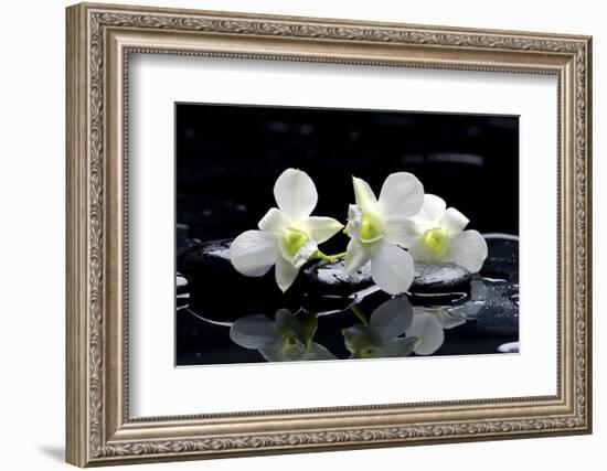 Purple Orchid and Black Stones with Reflection-crystalfoto-Framed Photographic Print