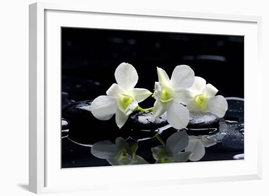 Purple Orchid and Black Stones with Reflection-crystalfoto-Framed Photographic Print