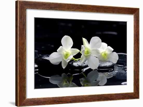 Purple Orchid and Black Stones with Reflection-crystalfoto-Framed Photographic Print