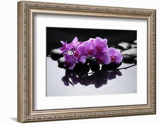 Purple Orchid and Black Stones with Reflection-crystalfoto-Framed Photographic Print