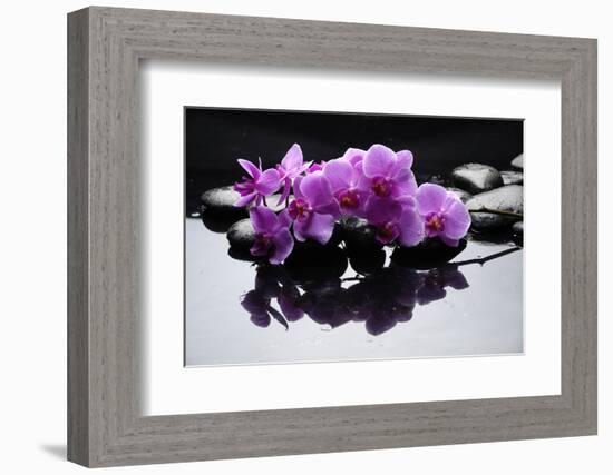 Purple Orchid and Black Stones with Reflection-crystalfoto-Framed Photographic Print