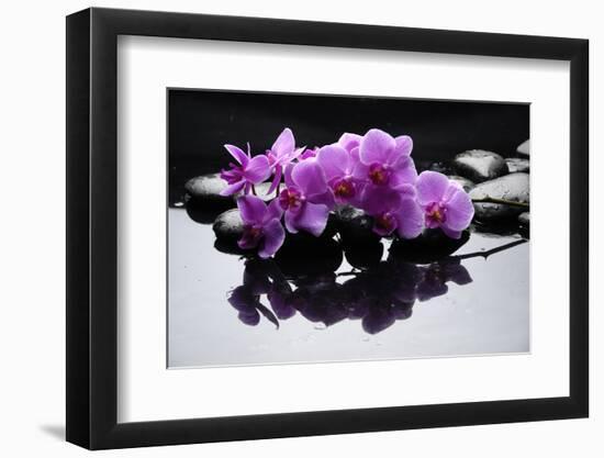 Purple Orchid and Black Stones with Reflection-crystalfoto-Framed Photographic Print