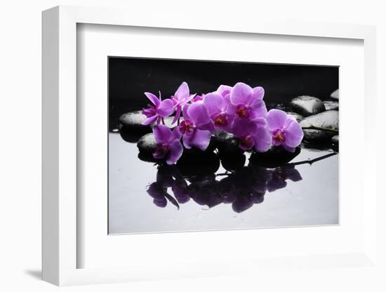 Purple Orchid and Black Stones with Reflection-crystalfoto-Framed Photographic Print