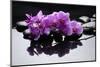 Purple Orchid and Black Stones with Reflection-crystalfoto-Mounted Photographic Print