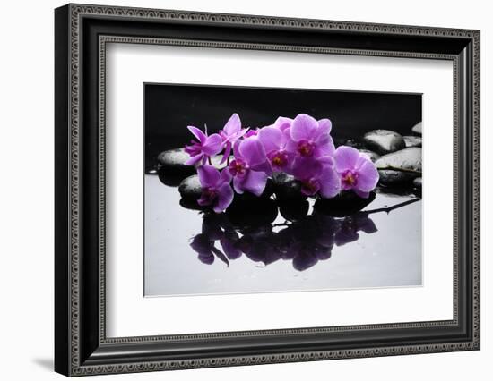 Purple Orchid and Black Stones with Reflection-crystalfoto-Framed Photographic Print