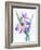 Purple Orchid-Michelle Faber-Framed Giclee Print