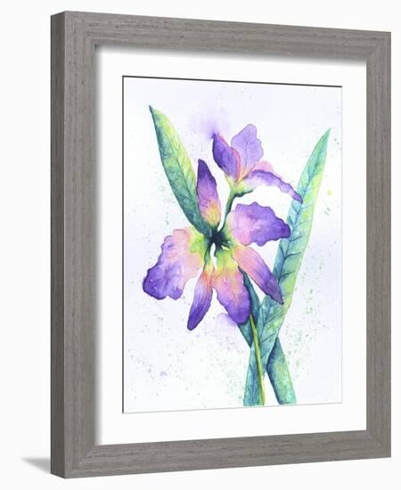 Purple Orchid-Michelle Faber-Framed Giclee Print