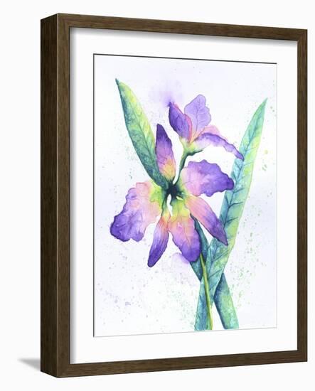 Purple Orchid-Michelle Faber-Framed Giclee Print