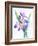 Purple Orchid-Michelle Faber-Framed Giclee Print