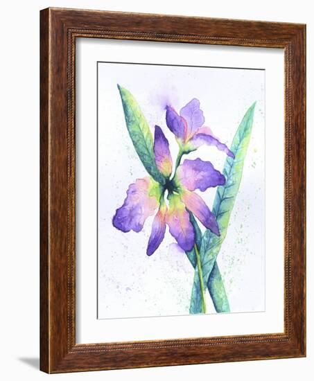 Purple Orchid-Michelle Faber-Framed Giclee Print