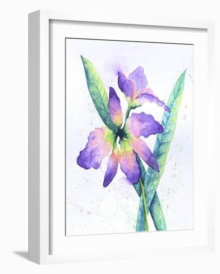 Purple Orchid-Michelle Faber-Framed Giclee Print