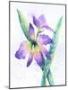 Purple Orchid-Michelle Faber-Mounted Giclee Print