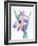 Purple Orchid-Michelle Faber-Framed Giclee Print