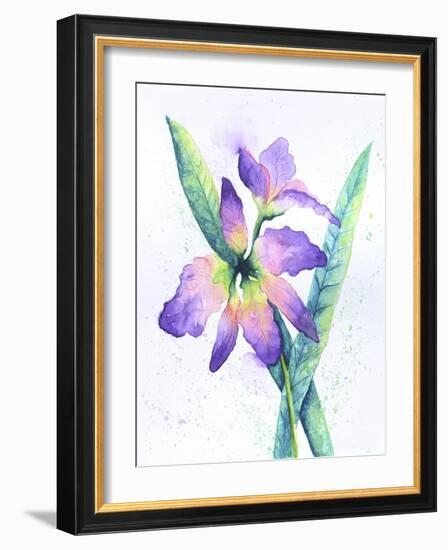 Purple Orchid-Michelle Faber-Framed Giclee Print