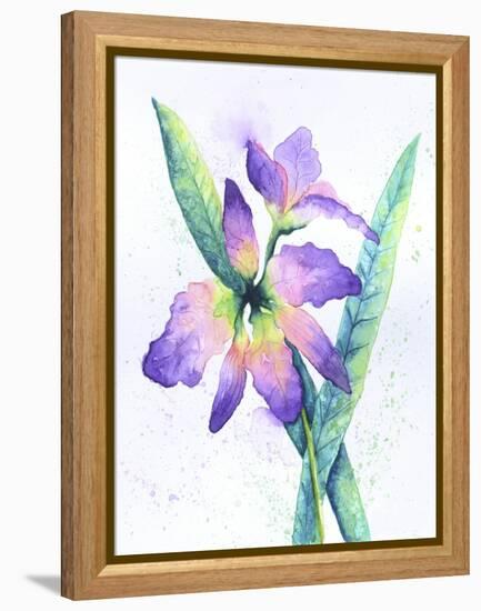 Purple Orchid-Michelle Faber-Framed Premier Image Canvas