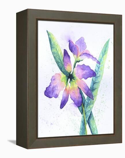 Purple Orchid-Michelle Faber-Framed Premier Image Canvas