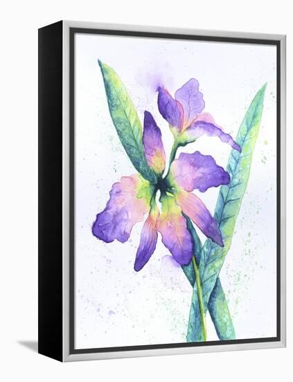 Purple Orchid-Michelle Faber-Framed Premier Image Canvas