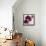 Purple Orchids I-Nicole Katano-Framed Stretched Canvas displayed on a wall